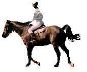 HorseRider.gif (30162 bytes)