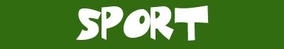 logo.jpg (3476 bytes)